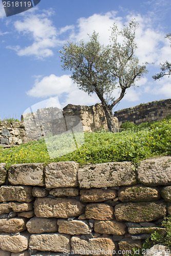 Image of Umm Qais City