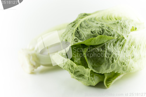 Image of Romain Lettuce 