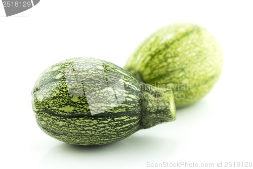 Image of fresh zucchini fruits