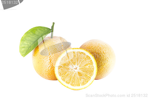 Image of Sweet orange