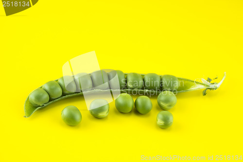 Image of fresh pea