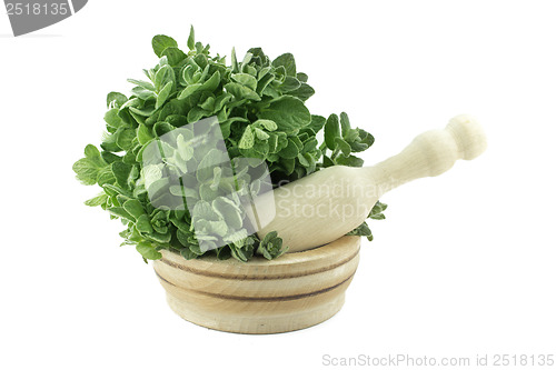 Image of Mortar with fresh thyme herb