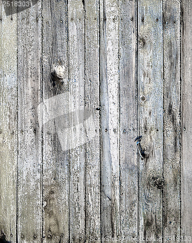 Image of gray wooden texture