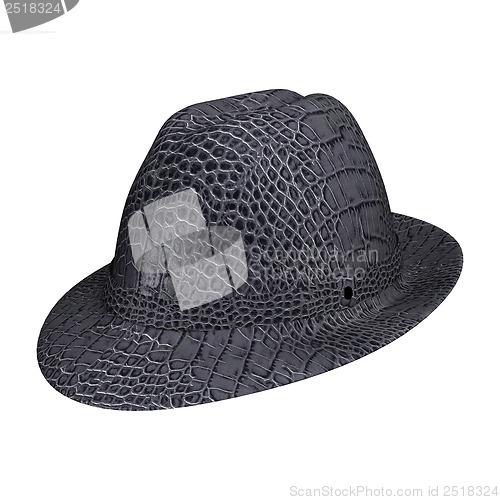 Image of Elegant Hat