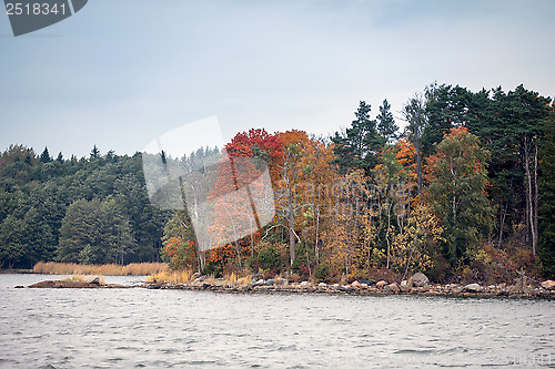 Image of Fall/autumn in the archipelago