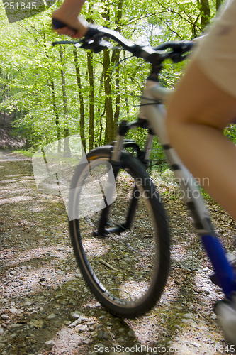 Image of Riding a bicycle in the forest