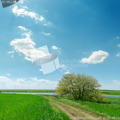 Image of road in green grass near tree and blue sky with clouds