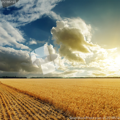 Image of good sunset over harvesting field