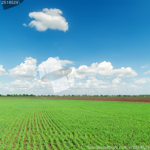 Image of agriculture green field and clouds over it