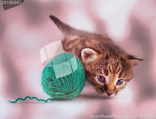 Image of little kitten playing with a ball