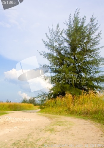 Image of Rural scene in Singapore

