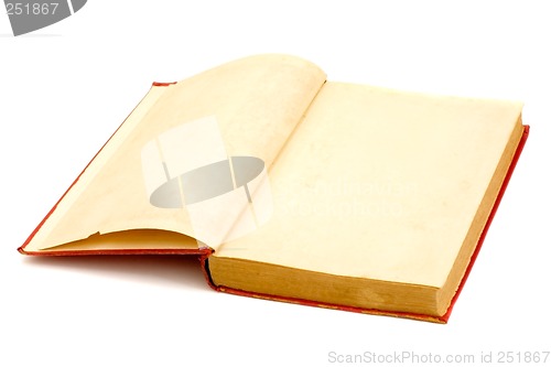 Image of Blank pages of a old book

