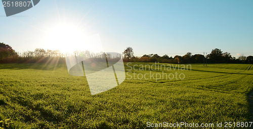 Image of Low fall sun shines over a green meadow