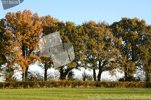 Image of Trees turning to fall colors in the countryside