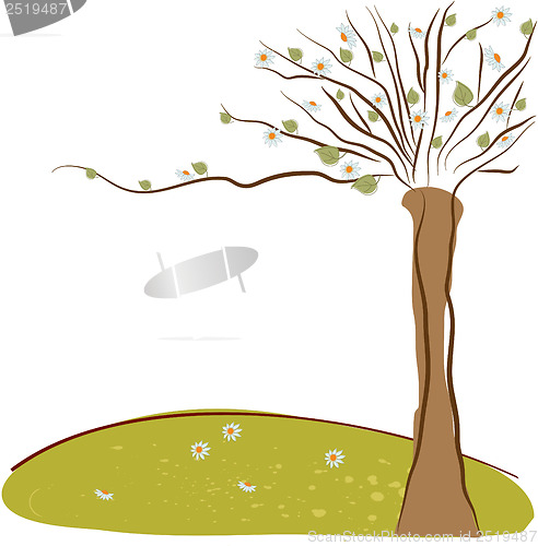 Image of Spring Background