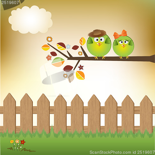 Image of Birds couple in love