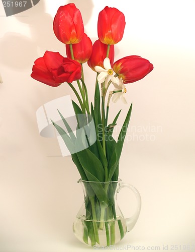 Image of Tulips in vase