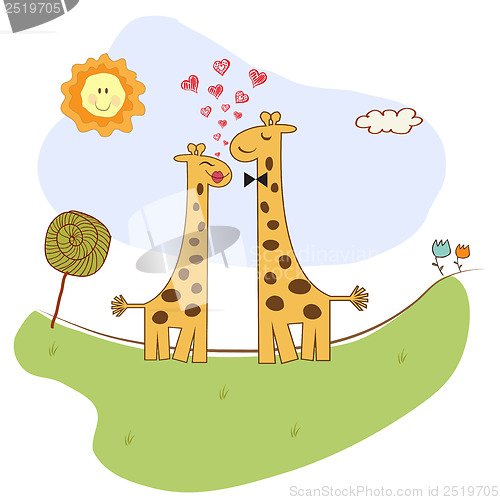 Image of Funny giraffe couple in love