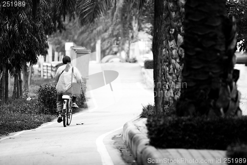 Image of Ridding a Bike