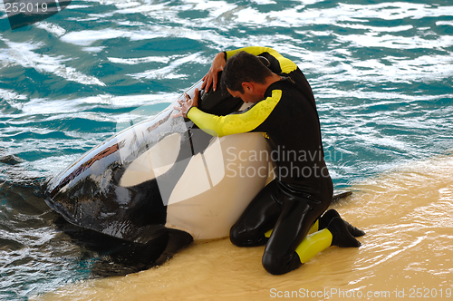 Image of Man and killer whale