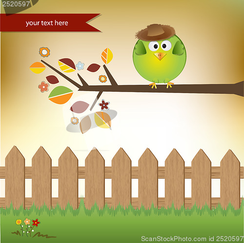 Image of cute little boy bird