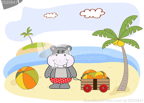Image of hippo play on the beach