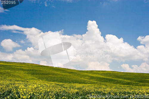 Image of Flowered Landscape