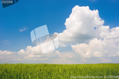 Image of Green Landscape