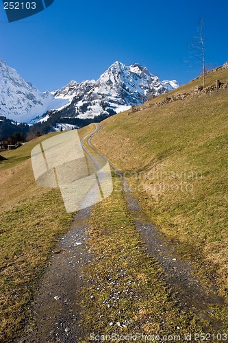 Image of Mountain Path