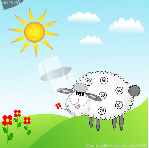 Image of sheep background