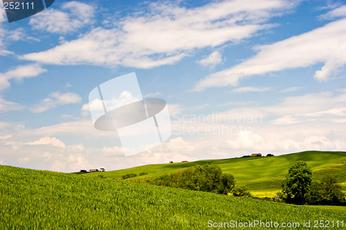 Image of Landscape