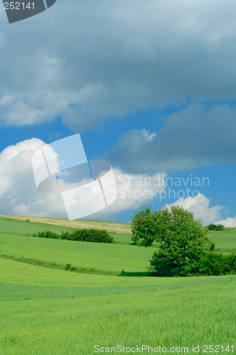 Image of green fields