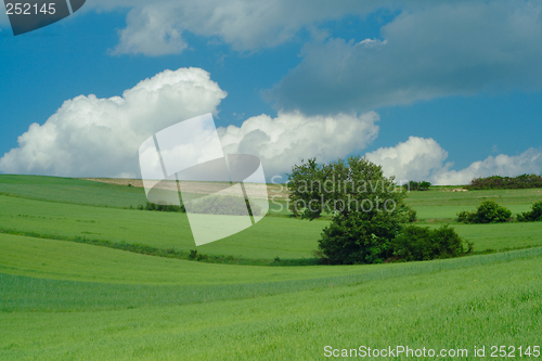 Image of green fields