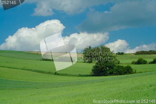 Image of green fields