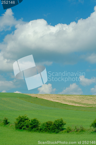 Image of spring landscape