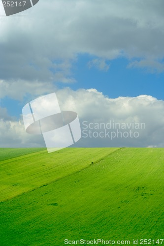 Image of green fields