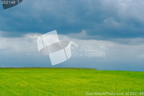 Image of plain green field