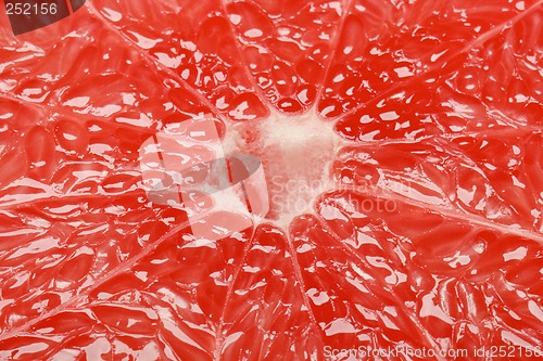 Image of red grapefruit