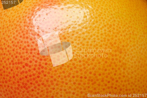 Image of red grapefruit peel