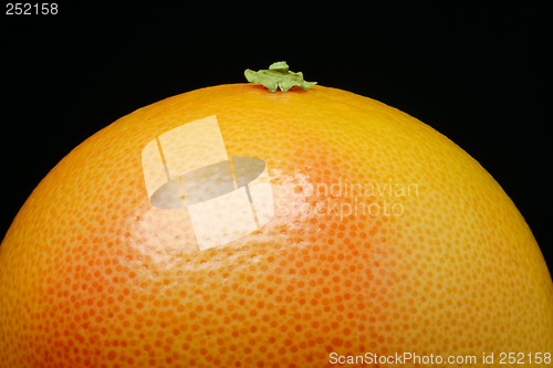 Image of red grapefruit