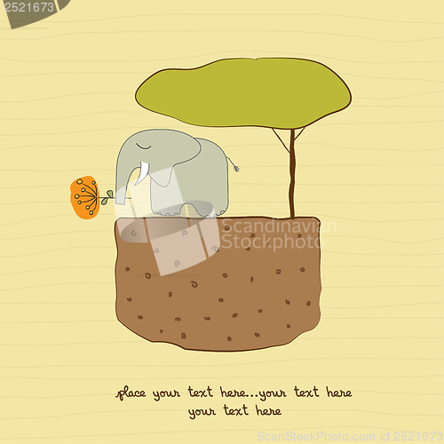 Image of one little elephant