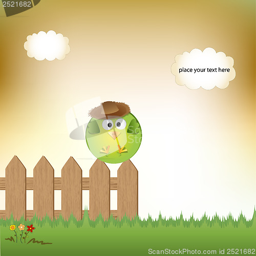 Image of cute little boy bird