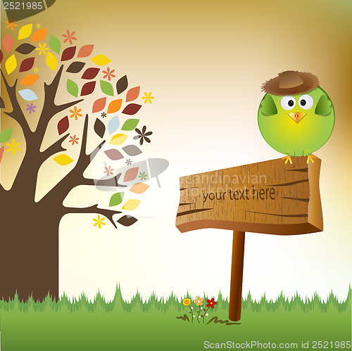 Image of cute little boy bird