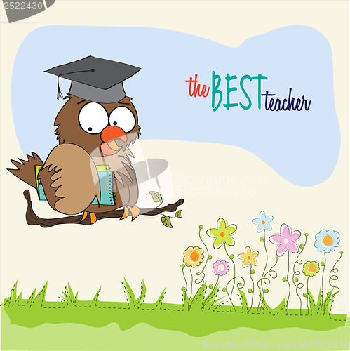 Image of Owl Teacher in vector format