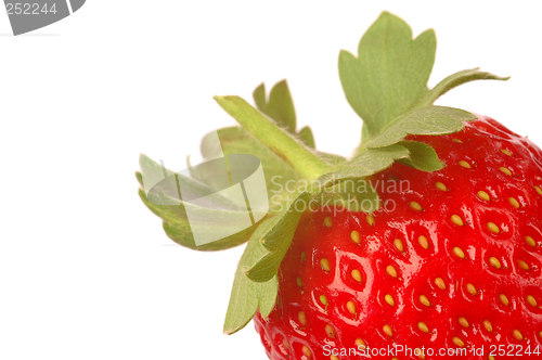 Image of Strawberry