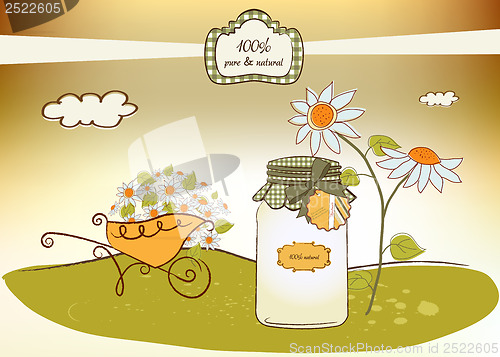 Image of pure biological food jar