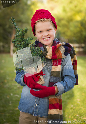 Image of Young Boy Wearing Holiday Clothing Holding Small Christmas Tree 