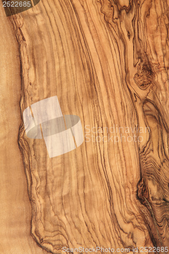 Image of Olive Wood