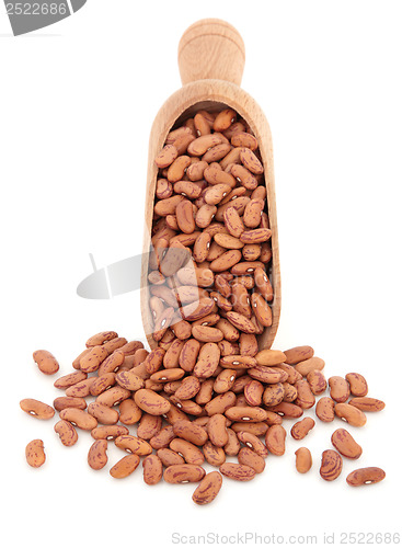 Image of Pinto Beans