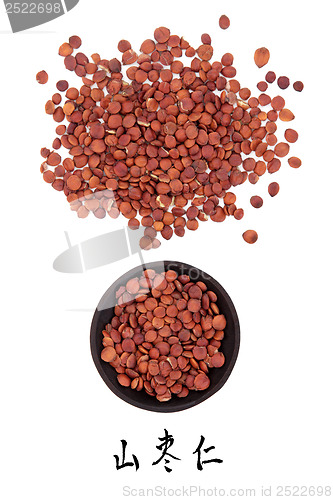 Image of Jujube Seed